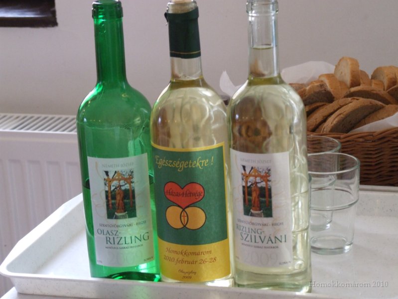 2010_02_26-28Homokkomarom (82).jpg